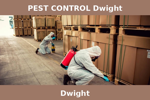 PEST CONTROL Dwight